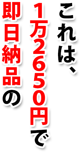 これは12650円で即日納品の