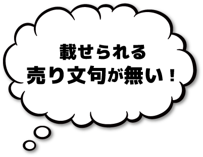 載せられる売り文句が無い