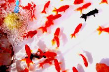 2024年夏季休業期間のお知らせ