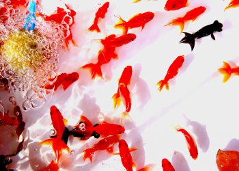 2024年夏季休業期間のお知らせ